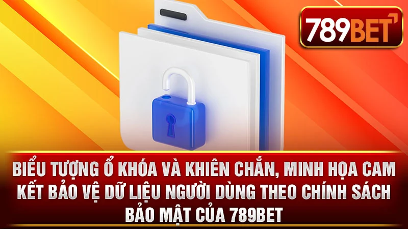 Cam kết bảo vệ dữ liệu người dùng theo chính sách bảo mật của 789BET