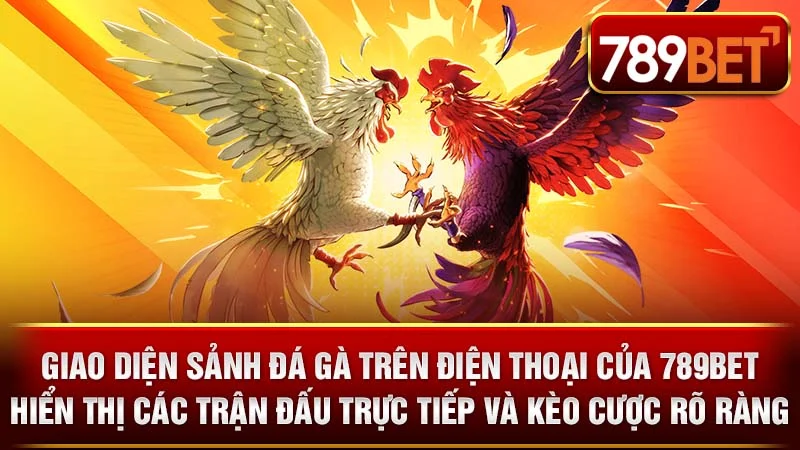 Giao diện sảnh đá gà trên điện thoại của 789BET hiển thị các trận đấu trực tiếp và kèo cược rõ ràng.