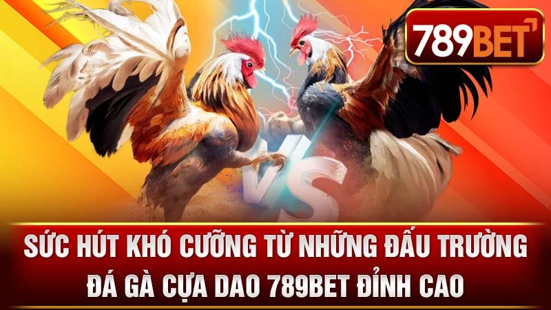 Sức Hút Khó Cưỡng Từ Những Đấu Trường Đá Gà Cựa Dao 789BET Đỉnh Cao